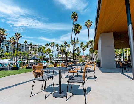 An outdoor patio area with tables and chairs, surrounded by tall palm trees and nearby buildings under a clear blue sky, creating a relaxing atmosphere.