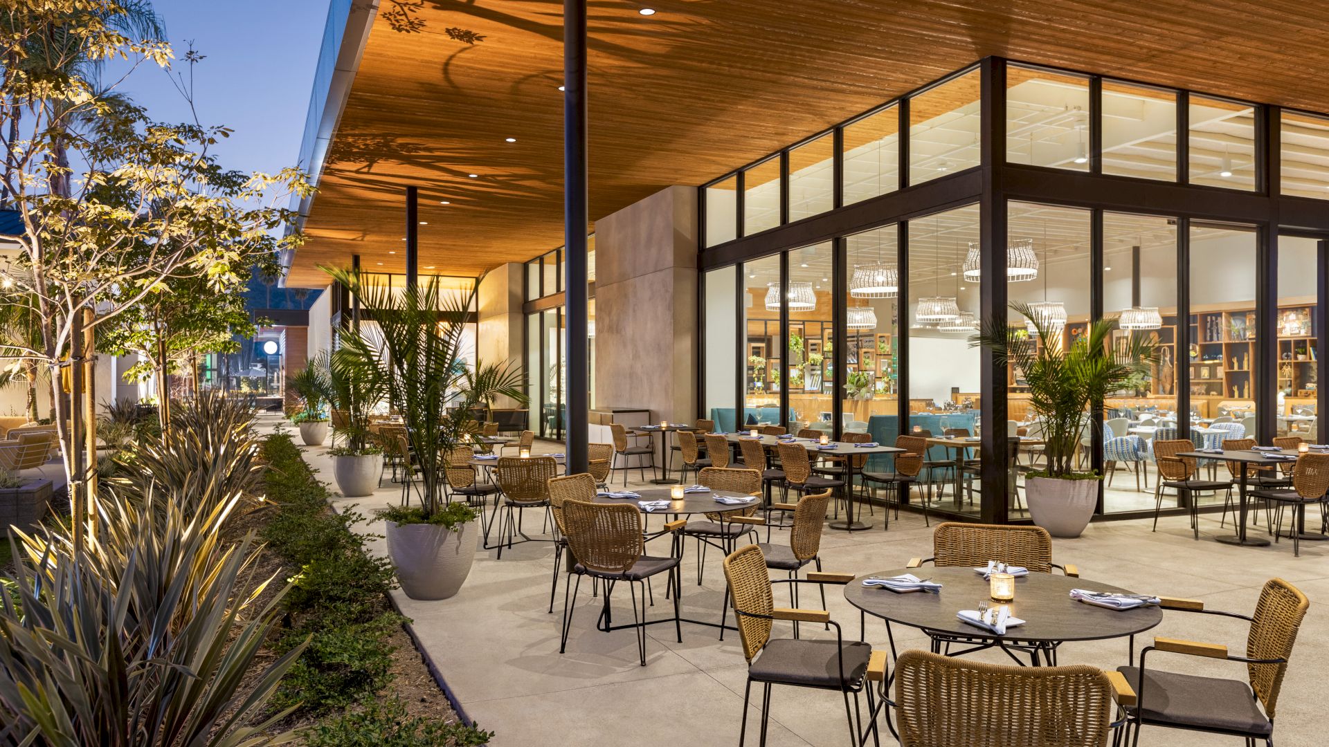 A modern outdoor restaurant patio with potted plants and wicker chairs surrounding tables. Large glass windows show the interior dining area.