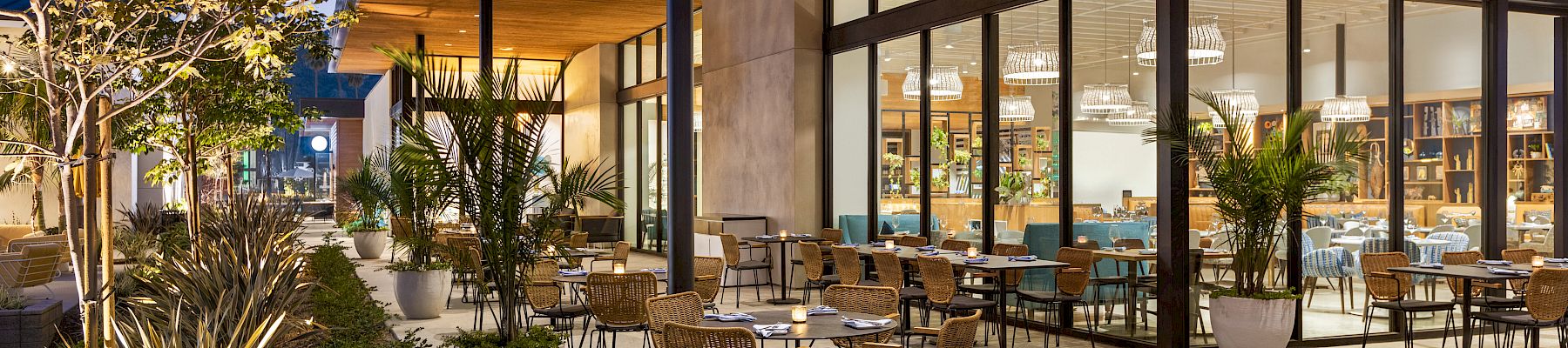 An outdoor dining area with several tables and chairs is adjacent to a modern glass-walled building, with lush plants and evening lighting enhancing the ambiance.