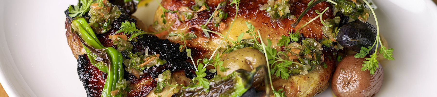 A plated dish with cooked chicken, garnished with greens and served with roasted vegetables and a dark sauce on a white plate.