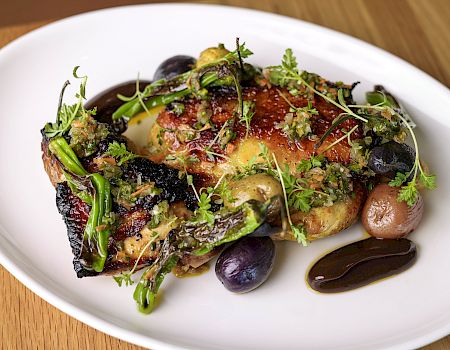 A plated dish with cooked chicken, garnished with greens and served with roasted vegetables and a dark sauce on a white plate.